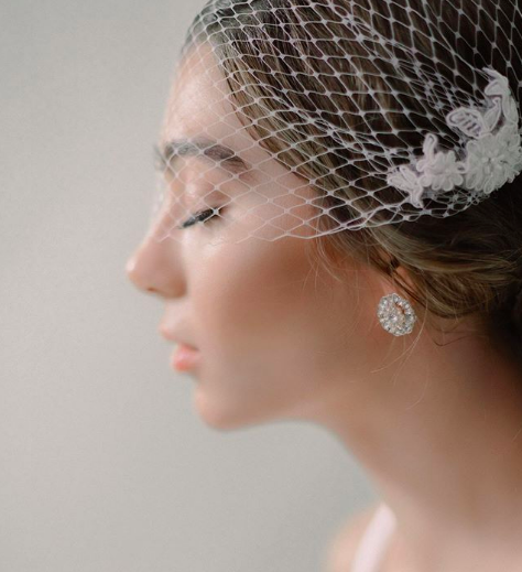 birdcage veil