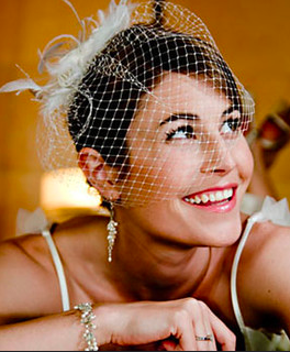 birdcage veil