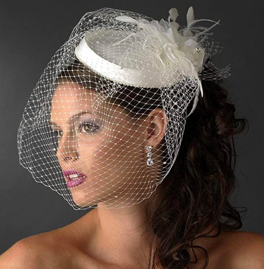 birdcage veil