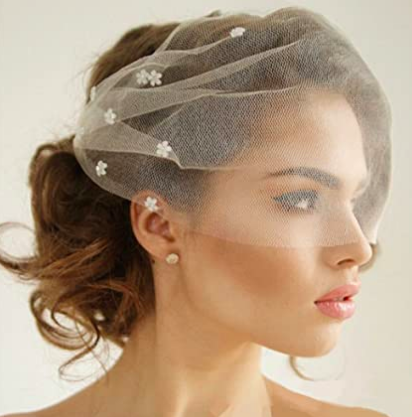 birdcage veil