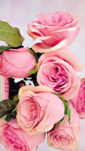 aesthetic pink wallpaper