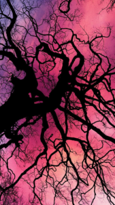 pink aesthetic wallpaper