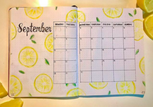 bullet journal spreads