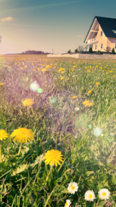 cottagecore backgrounds cottages