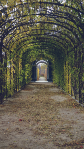 cottagecore backgrounds