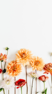 Cottagecore Backgrounds iphone