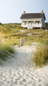 Cottagecore Backgrounds country