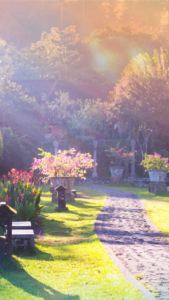 cottagecore backgrounds