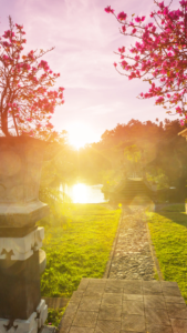 cottagecore backgrounds sun