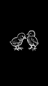 black aesthetic wallpaper birds