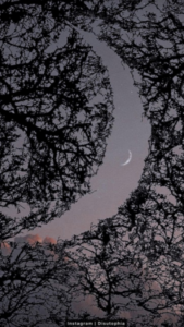 aesthetic black wallpaper