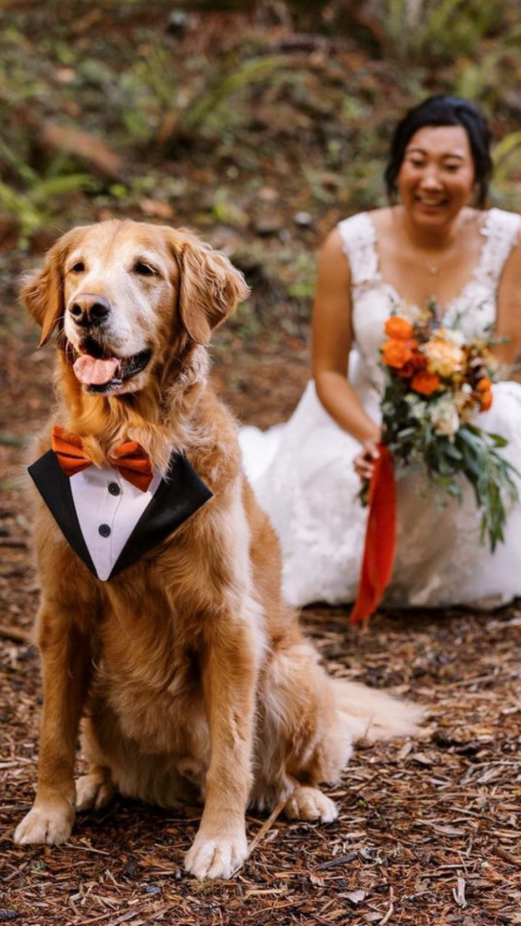 first look wedding with dog