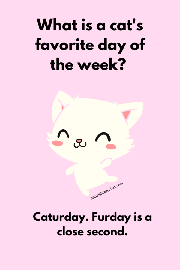 Cat Puns That Litterally Freak Meowt Bridal Shower 101